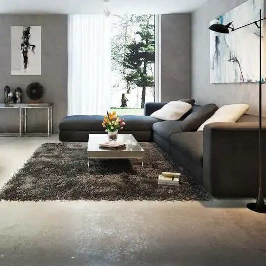 #1 living room rugs