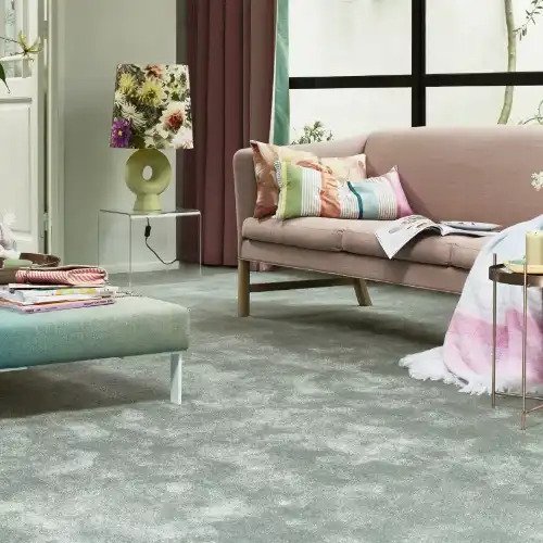 flooring shaggy carpet