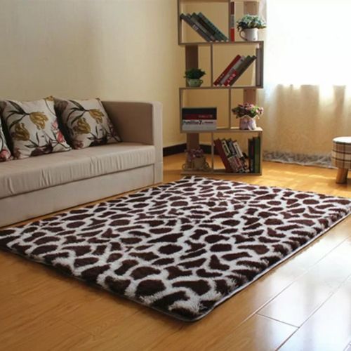 sofa shaggy rugs