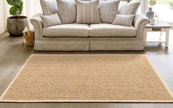 #1 sisal rugs